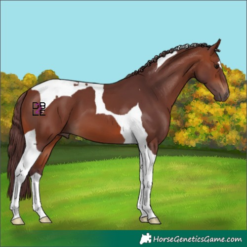 Horse Color:Chocolate Brown Tobiano 