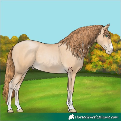 Horse Color:Smoky Black Pearl 