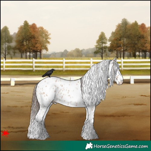 Horse Color:White Spotted Bay Roan Dun Leopard 