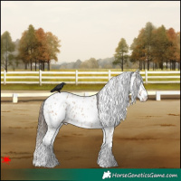 Horse Color:White Spotted Bay Roan Dun Leopard 