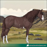 Horse Color:Chocolate Black