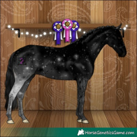 Horse Color:Void Black Splash Near Fewspot