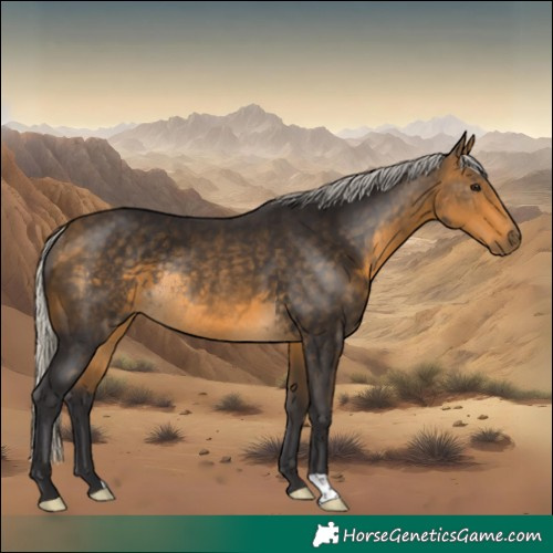 Horse Color:Silver Buckskin Rabicano 