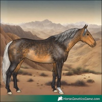 Horse Color:Silver Buckskin Rabicano 