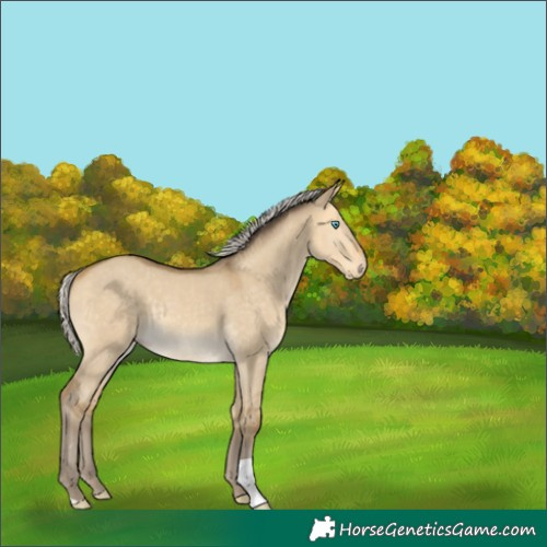 Horse Color:Silver Sable Cream Champagne Dun 