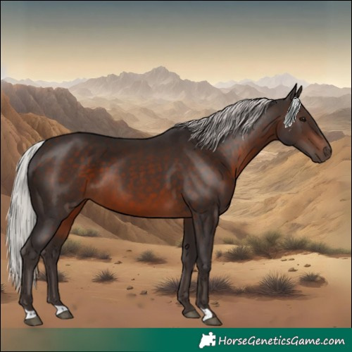 Horse Color:Silver Brown