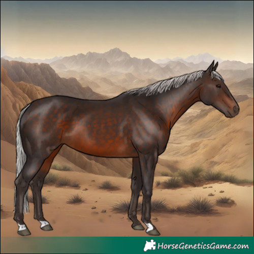 Horse Color:Silver Brown 