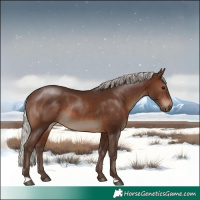 Horse Color:Silver Brown Rabicano 