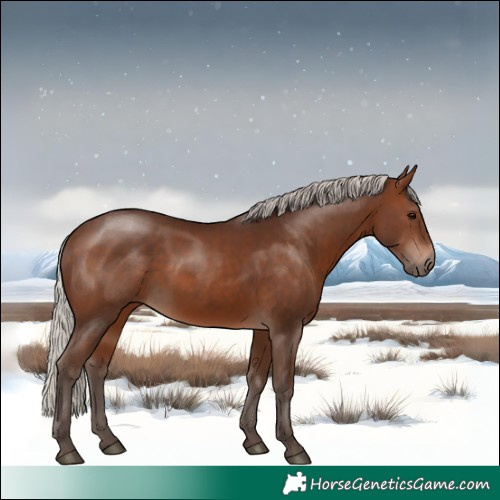 Horse Color:Silver Brown