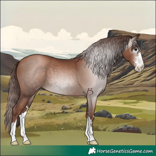 Horse Color:Gray Chocolate Black Pearl 