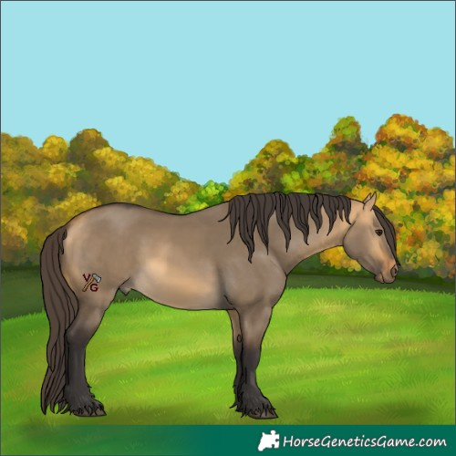 Horse Color:Unknown 