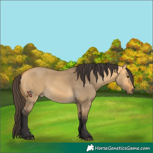 Horse Color:Unknown 