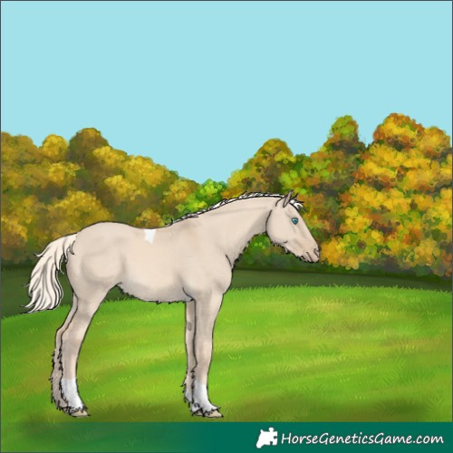 Horse Color:Cremello Dun Tobiano 