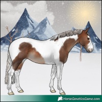 Horse Color:Silver Brown Tobiano