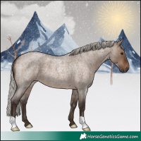 Horse Color:Silver Brown Roan Dun 