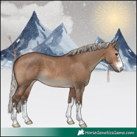 Horse Color:Silver Brown Dun 