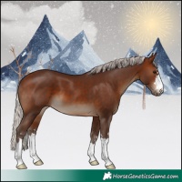 Horse Color:Silver Brown 