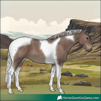 Horse Color:Silver Black Tobiano