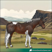 Horse Color:Silver Brown Tobiano
