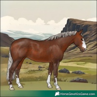 Horse Color:Silver Brown 