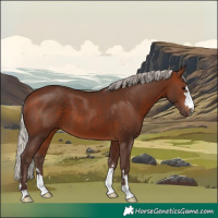 Horse Color:Silver Brown