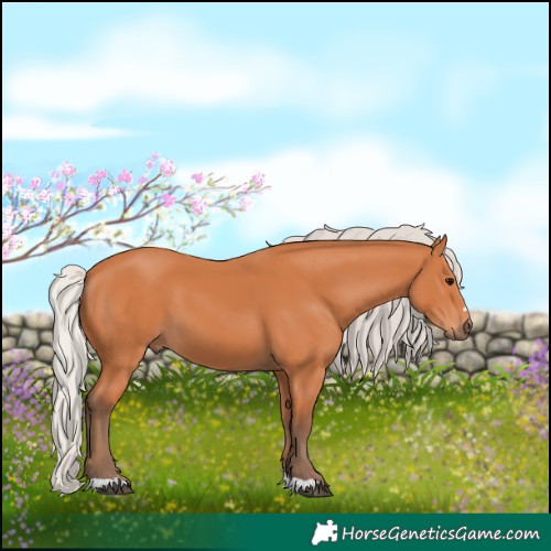 Horse Color:Silver Bay