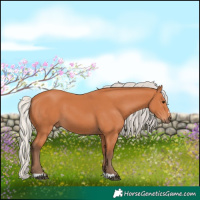 Horse Color:Silver Bay 