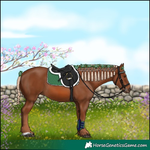 Horse Color:Unknown 