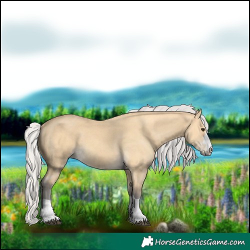 Horse Color:Silver Buckskin 