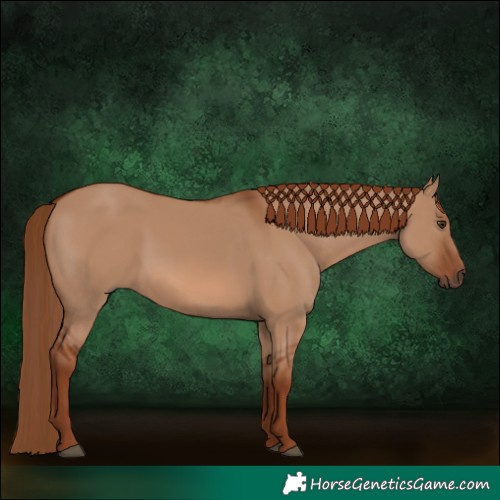 Horse Color:Red Dun