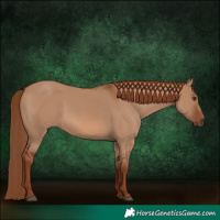 Horse Color:Red Dun