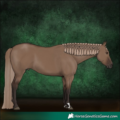 Horse Color:Liver Red Dun 