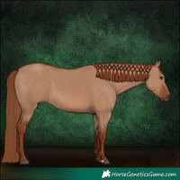 Horse Color:Red Dun