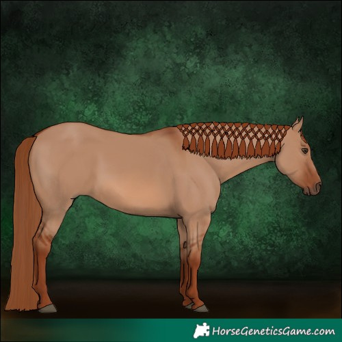 Horse Color:Red Dun