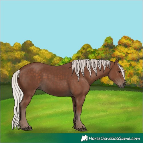 Horse Color:Silver Black 