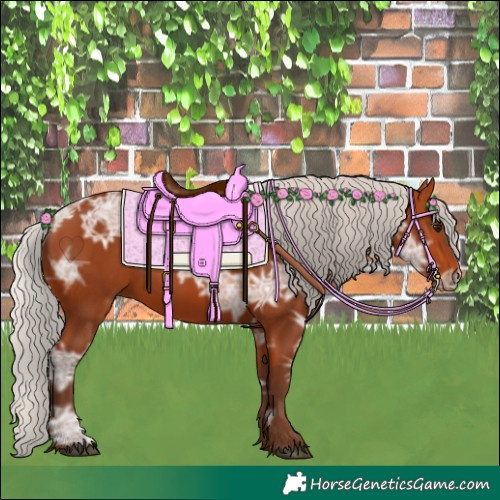 Horse Color:Silver Bay Ice 