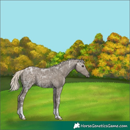 Horse Color:Silver Smoky Black Ice