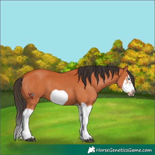 Horse Color:Unknown 