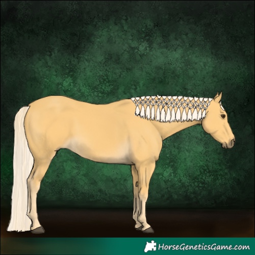 Horse Color:Palomino