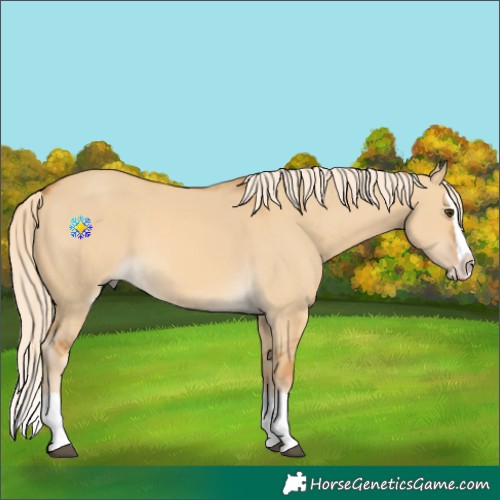 Horse Color:Palomino Dun Splash 