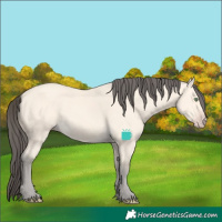 Horse Color:Amber Cream Champagne