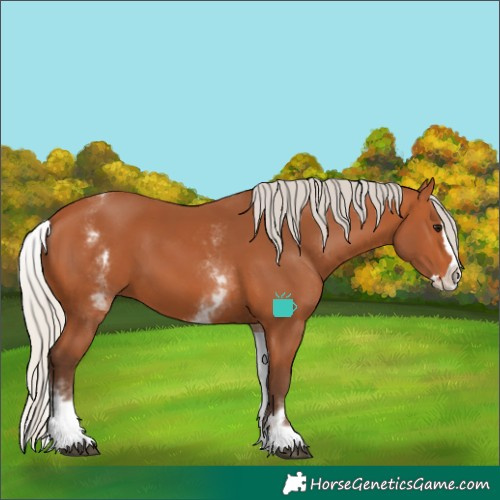 Horse Color:White Spotted Silver Bay Splash 