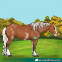 Horse Color:White Spotted Silver Bay Splash 