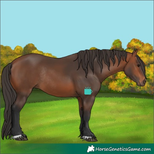 Horse Color:Bay Rabicano