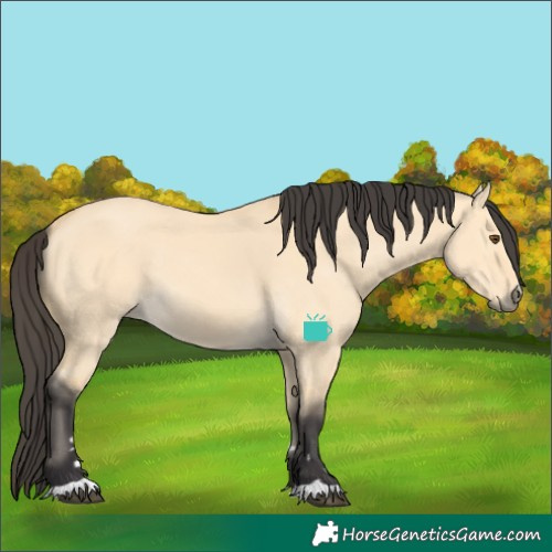 Horse Color:Buckskin Dun