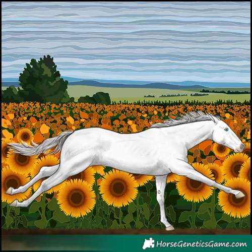 Horse Color:Platinum Perlino Roan Dun 