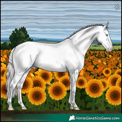 Horse Color:Platinum Perlino Roan Dun 