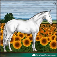 Horse Color:Platinum Perlino Roan Dun