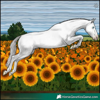Horse Color:Platinum Perlino Roan Dun