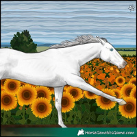 Horse Color:Platinum Perlino Roan Dun